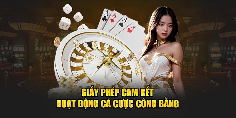 Giấy Phép Hoạt Động - Minh Chứng Cho Sự Uy Tín Của RR88 Các loại giấy phép RR88 sở hữu